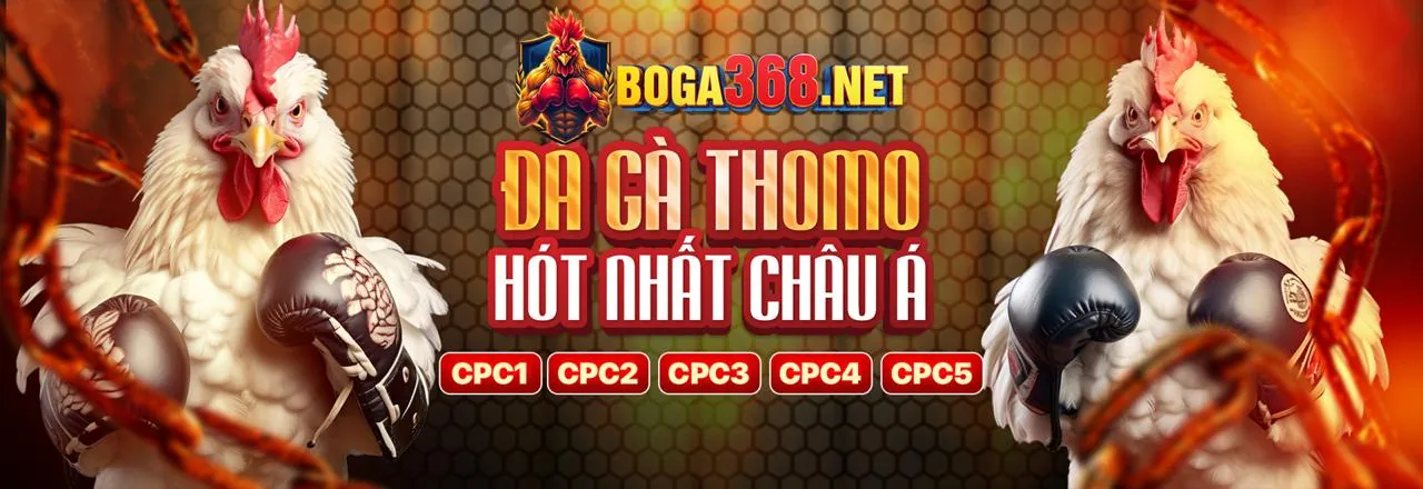 Trải nghiệm sòng bạc trực tiếp